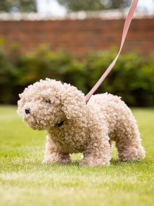 LeMieux Toy Puppies